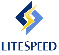 LiteSpeed Cache (LSCache)